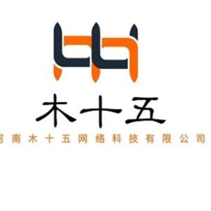 河南木十五网络科技 技术驱动创新，引领数字化未来